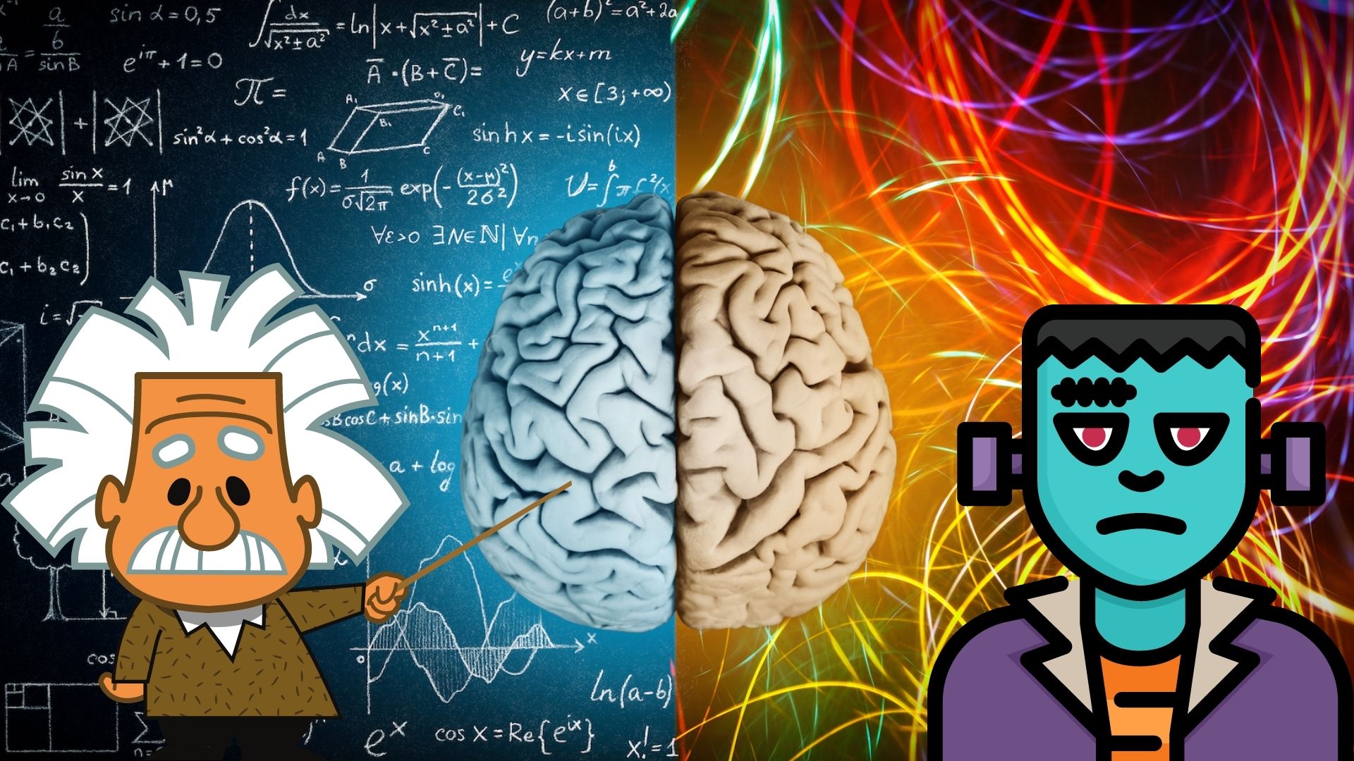 the-ultimate-brain-quiz-which-side-do-you-use-the-most