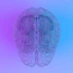 Brain Discoveries