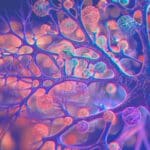 Neuroplasticity for Success